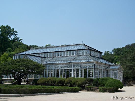 Greenhouse