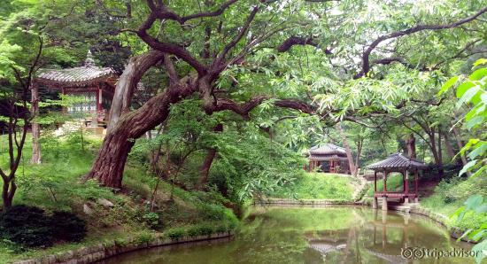 Pavilions among the lush greenery