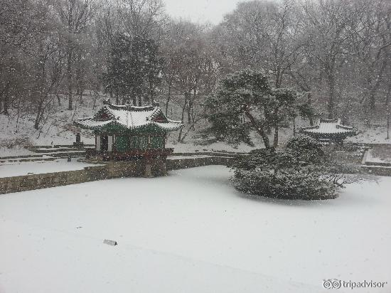 Nice view because of snowing