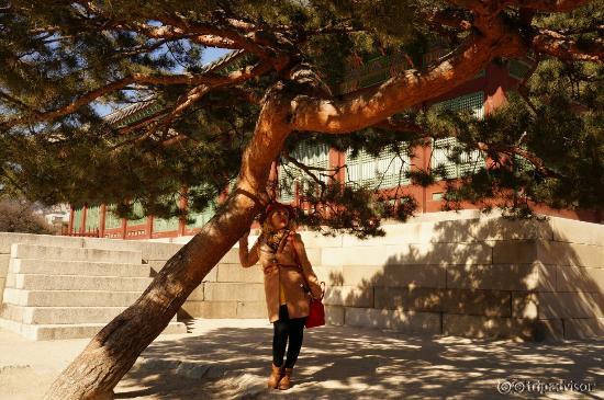 Changdeokgung Palace