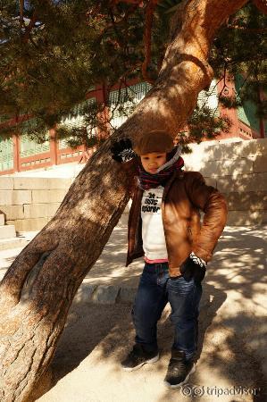 Changdeokgung Palace