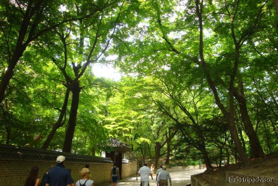 The Secret Garden inside Changdeokgung