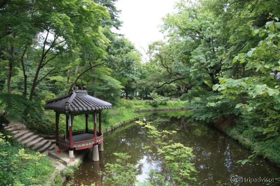 This pond is said to look like the Korean Penisula