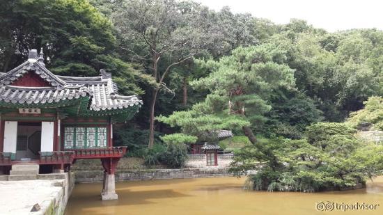 Secret Garden - lakeview