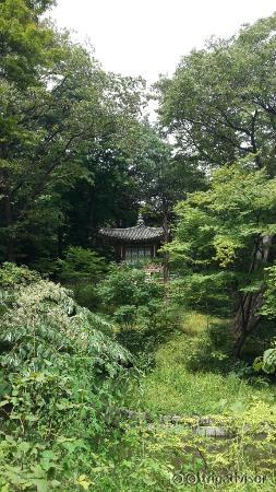 The Hut in the Secret Garden