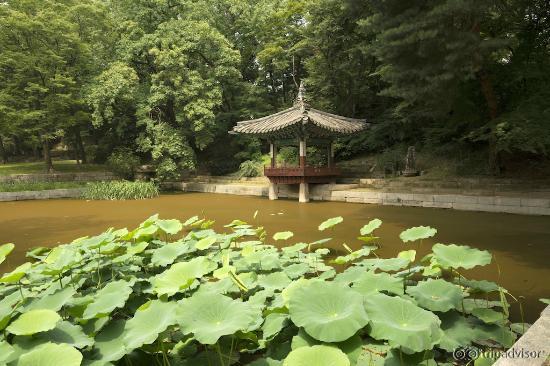 Huwon (Secret Garden)