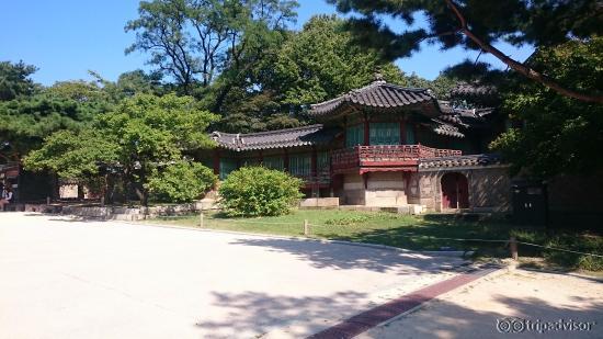 Greenery is one of the concepts that make Changdeokgung unique.