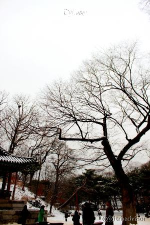 Secret Garden view during Winter