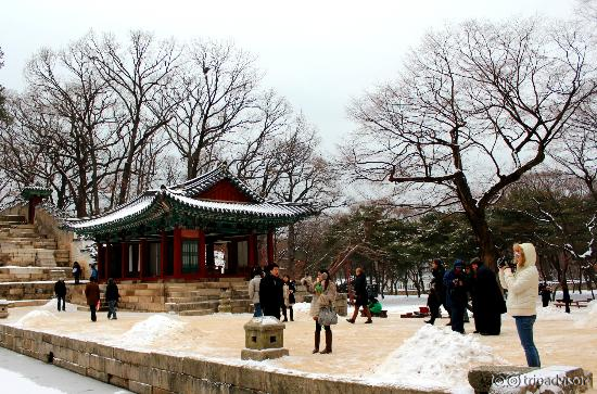 The forbidden place - Secret Garden