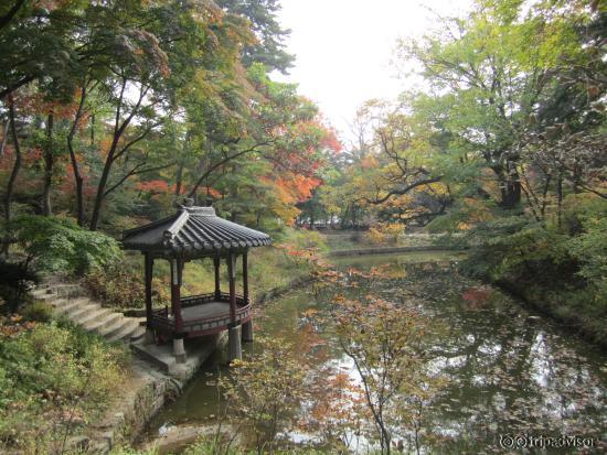 Inside Secret Garden