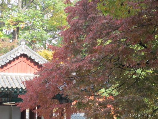 Inside Secret Garden