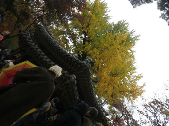 a shrine (?) with bat decorations