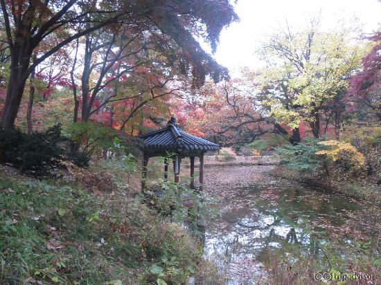 the other view of the contemplation site