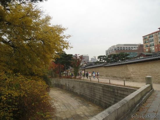 the path before we end the secret garden tour