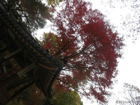 too bad, i forgot the name of this building