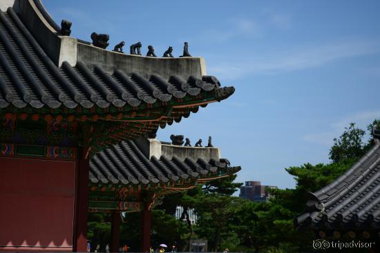 Roofs of the buidings