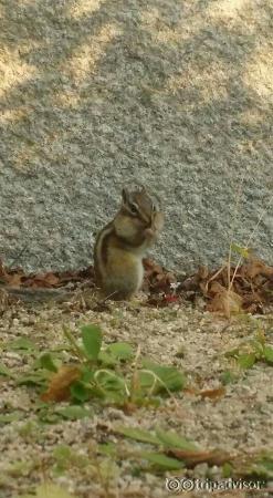Palacio Changdeokgung