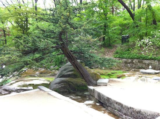 The Changdeokgung Palace and Secret Garden