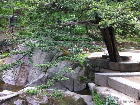 The Changdeokgung Palace and Secret Garden