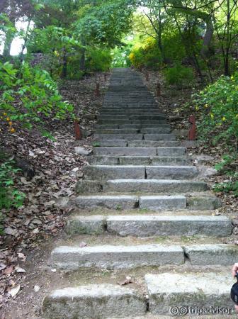 The Changdeokgung Palace and Secret Garden