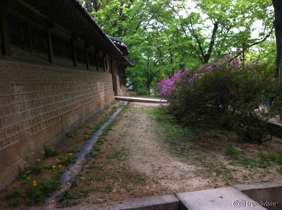 The Changdeokgung Palace and Secret Garden