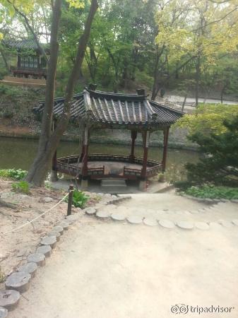 Photo of Changdeokgung Palace taken with TripAdvisor City Guides