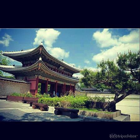 Photo of Changdeokgung Palace taken with TripAdvisor City Guides