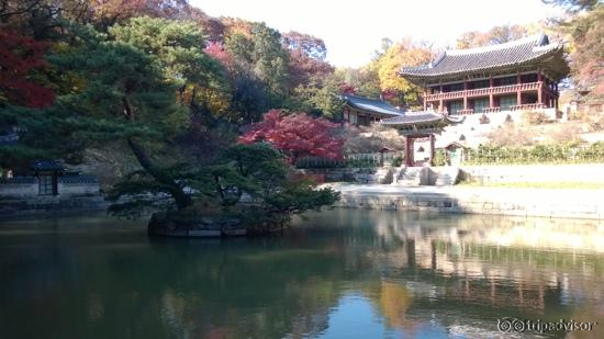 Тайный сад Secret garden