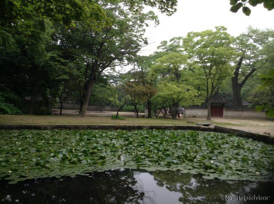 Tranquil palatial pond