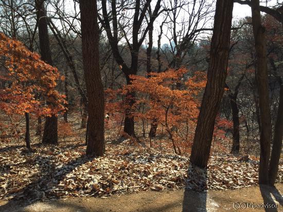 Winter @ the secret garden