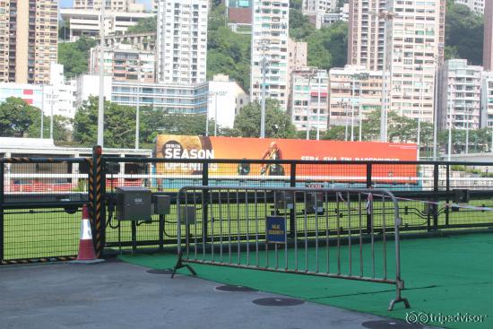 Happy Valley Horse Race