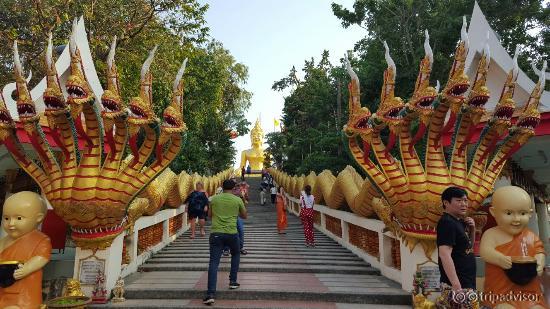 20160127_163918_large.jpg