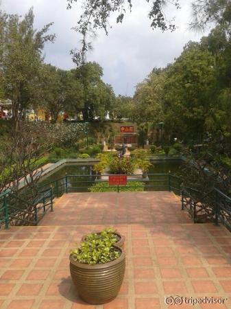 20160312_104134_large.jpg