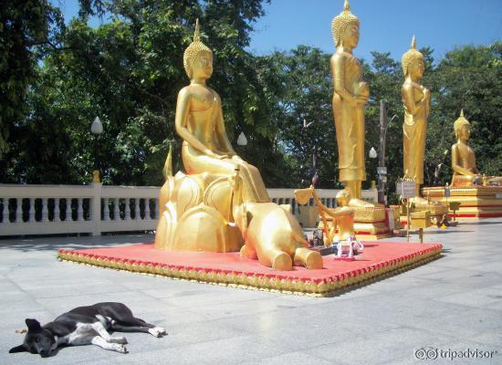 The statues
