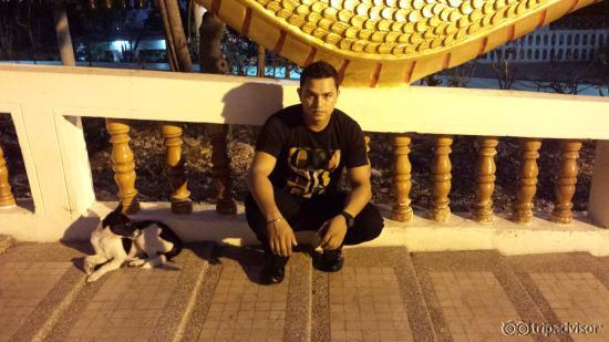 nice place to take photo
