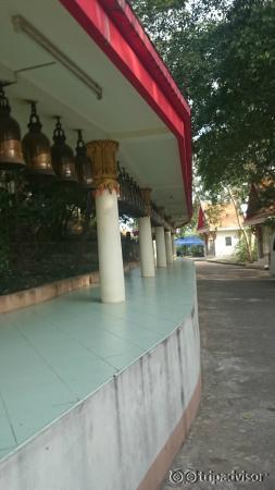 the alley on the ground