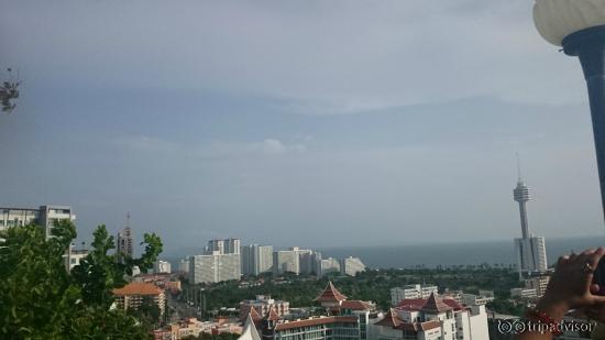 the view