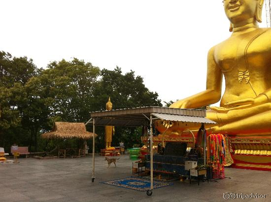 amazing big buddha
