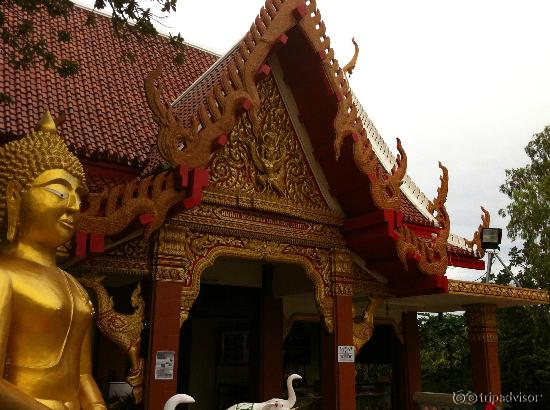 the beautiful temple all around the big buddha statue