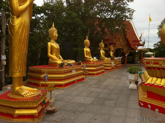 the beautiful temple all around the big buddha statue