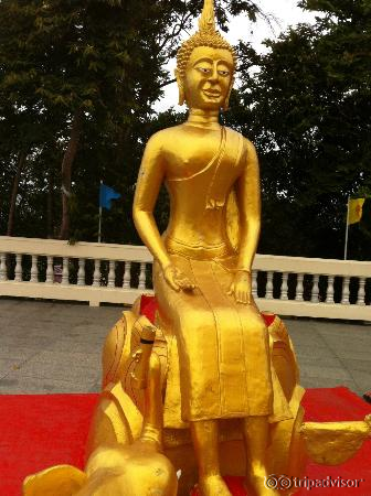 the beautiful temple all around the big buddha statue