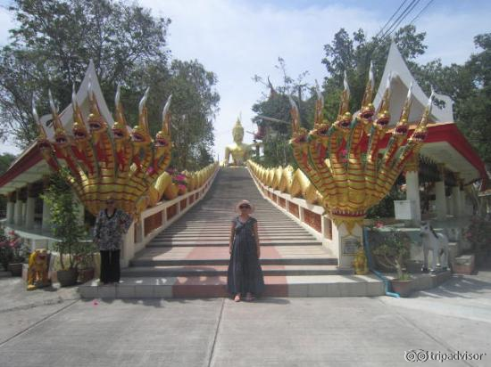 gate of site