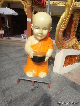 Tip Monk
