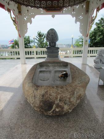 Buddha step