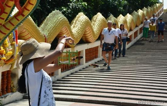 Frreing birds at Buddha temple to get "good luck" (cost=100THB)