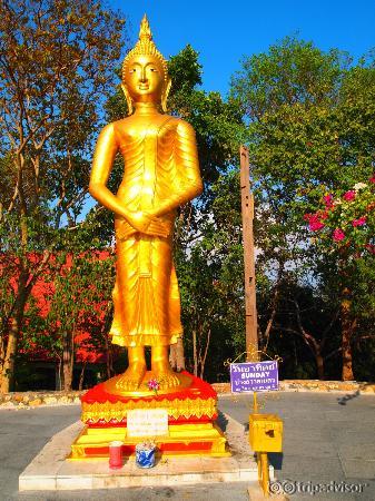 buddha