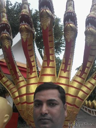 The Big Budhha Snakes in Pattaya
