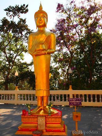 buddha