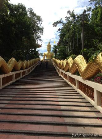 Steps