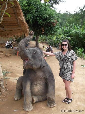Baby elephant encounter